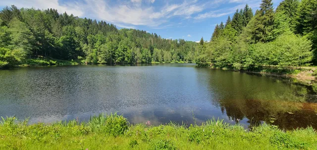 Stausee Hartmannsreit