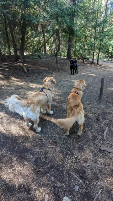 May Richards Bennett Pioneer Park