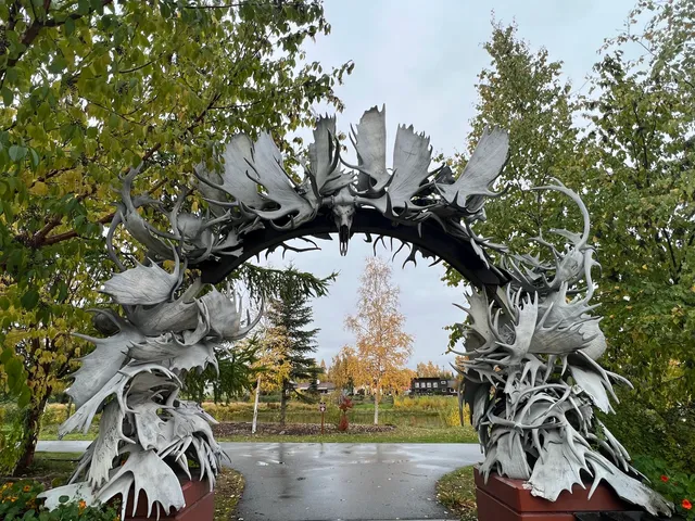 Moose Antler Arch