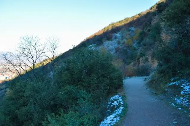 Temescal Canyon Park