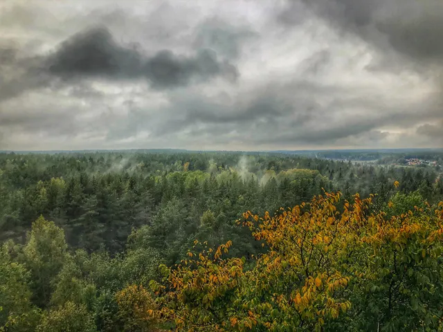 Ryssbergens naturreservat