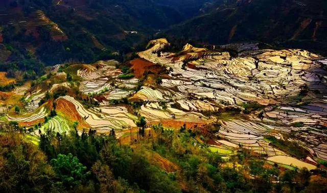 Laohuzui Terraced Field Scenic Area