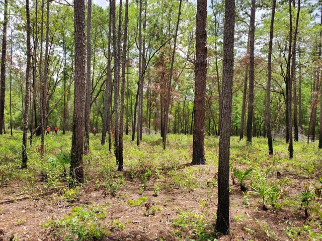 Joe Budd Wildlife Management Area