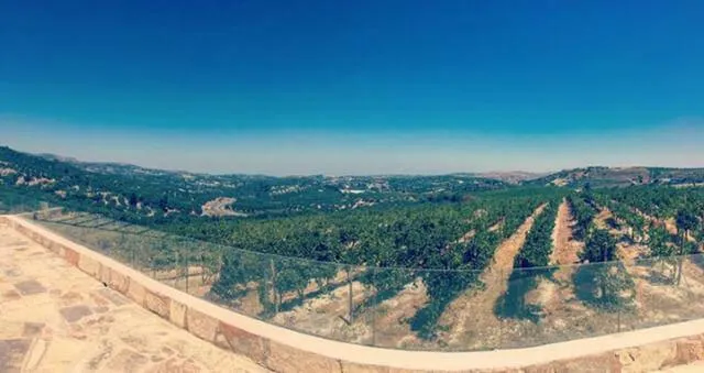 Domaine Paterianakis- Κτήμα Πατεριανάκη