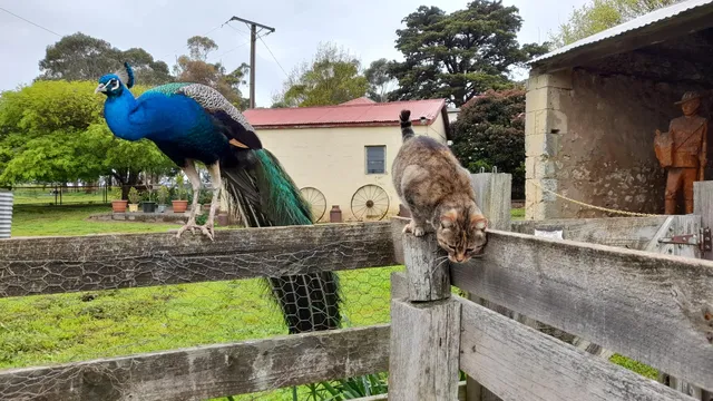 The District Council of Grant