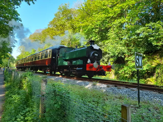 Plym Valley Railway