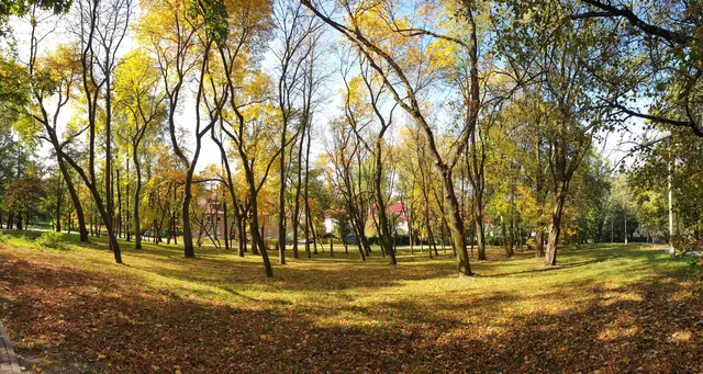 Park im. M. Zaruskiego