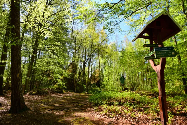 Aussicht Zeisigstein