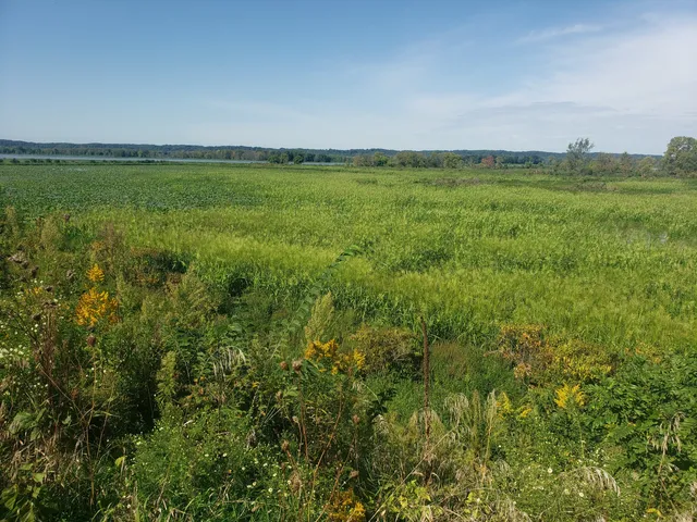 Upper Mississippi River National Wildlife and Fish Refuge - Ingersoll Wetlands Learning Center