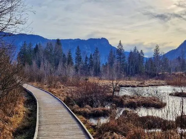 Moor-Erlebnis-Pfad Inzell