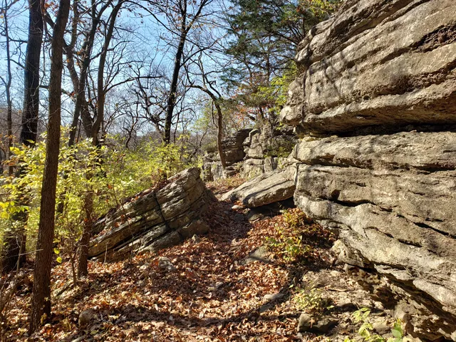 Swope Park Mountain Bike Trail