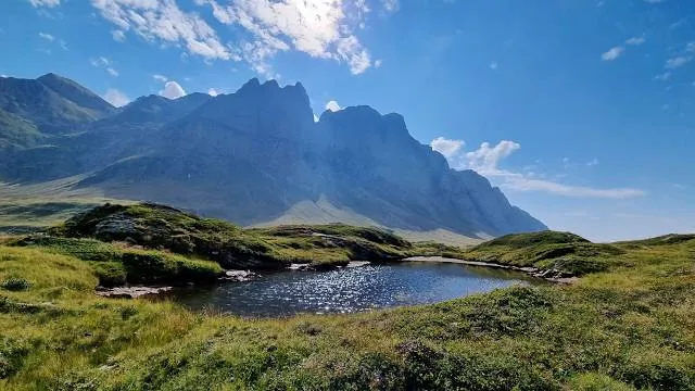photo-1