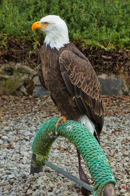 Parque del Condor