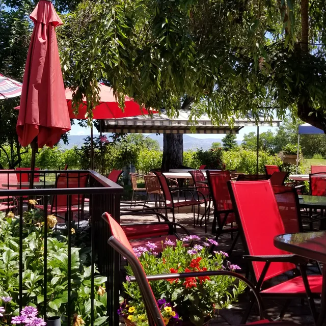 Daisy Creek Vineyard