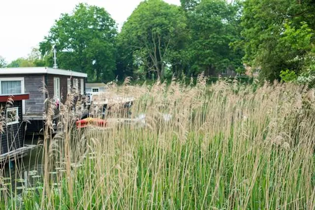 Gator Country LA Alligator Park