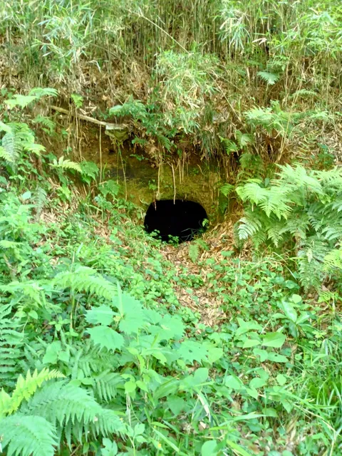 Ikuta-chojya Small Tunnel