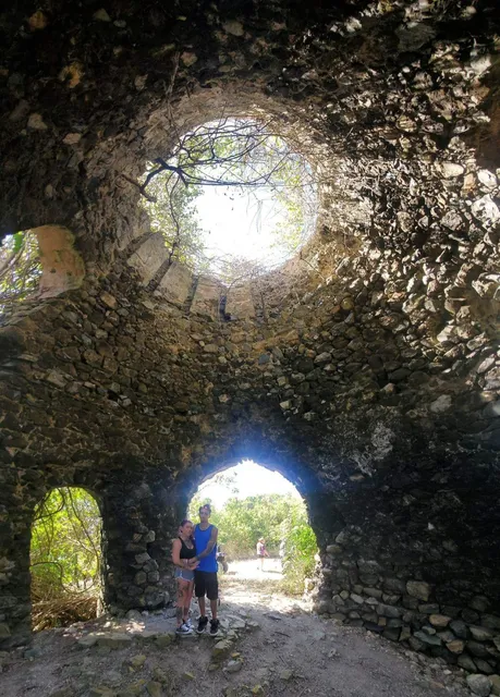 Gecko's Island Adventures