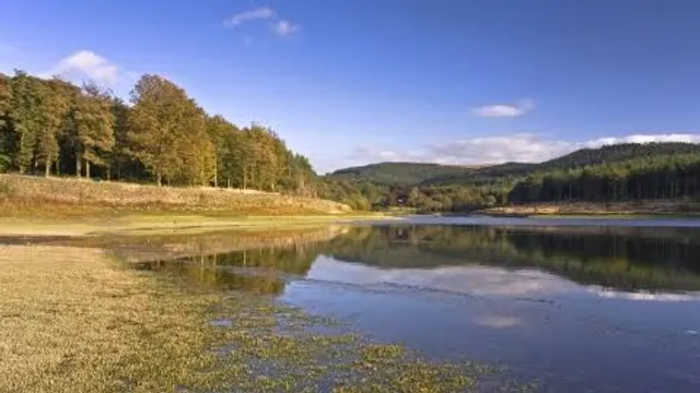 photo-2