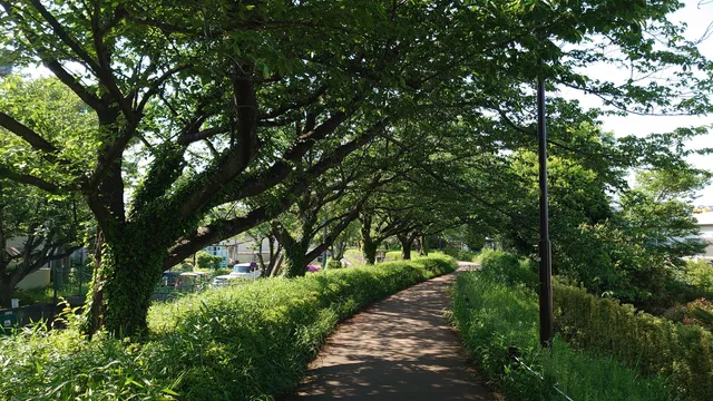 ふるさと尾根道緑道 (Furusato Green Road)