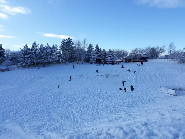 Aspen Meadows Park (The Fish Park)