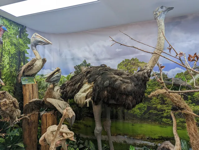 Museo Arqueológico y Natural de Pasca