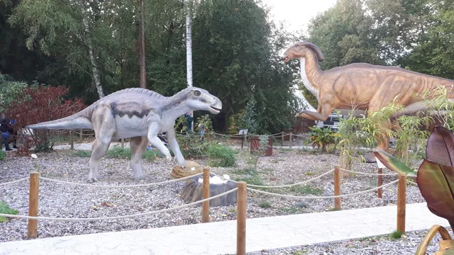 Jurassic-Safari