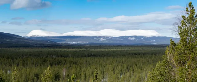 Sonfjället National Park
