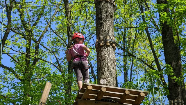 Linolandia treetop trek