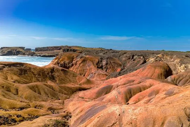 Savanna of Petrifications