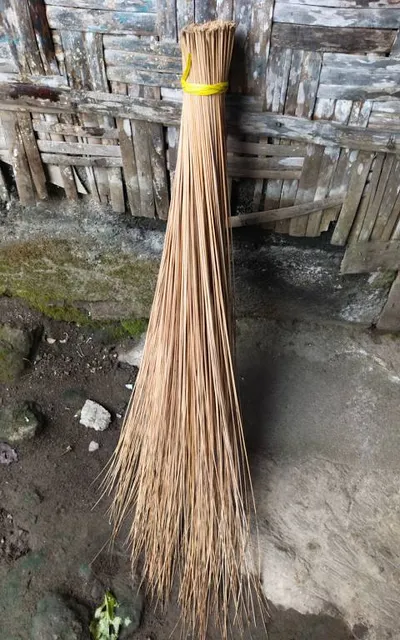 photo-2