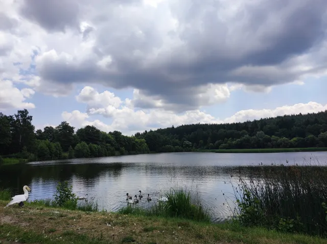 Chrastenský rybník