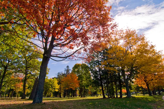 Visit Portland, Maine Information Center