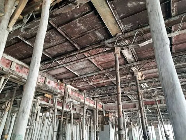 La India - Somos Naturaleza