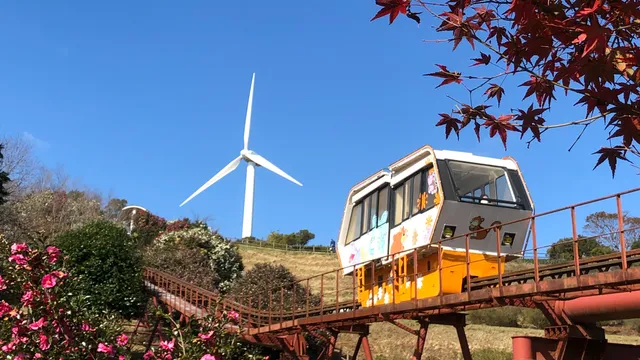 サザンカコウゲン