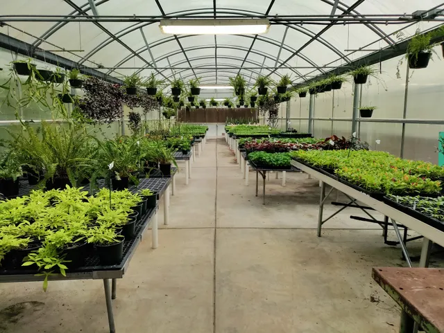 Georgia Academy For The Blind