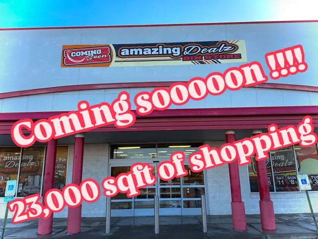 AMAZING DEALZ BIN STORE