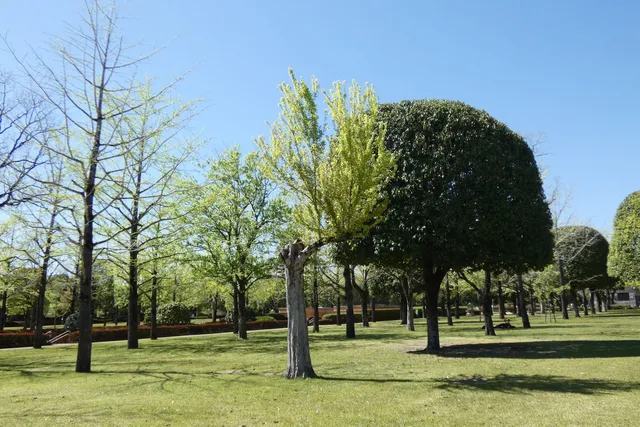 Techno Central Green Park