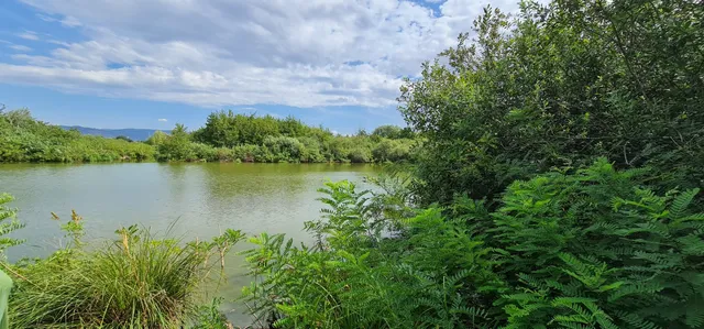 Riserva Naturale del Lago di Sibolla