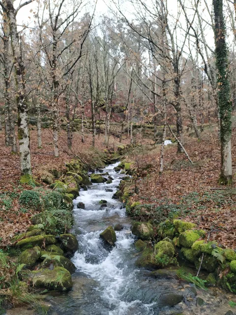 Ruta sendeirismo Muíños de Riamonte