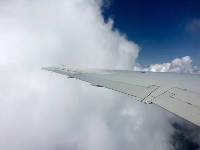 Park 1000-Letiya Goroda Bryanska