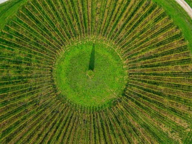 Avignonesi Winery Fattoria Le Capezzine