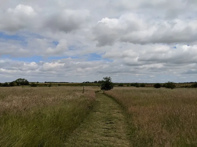 photo-3
