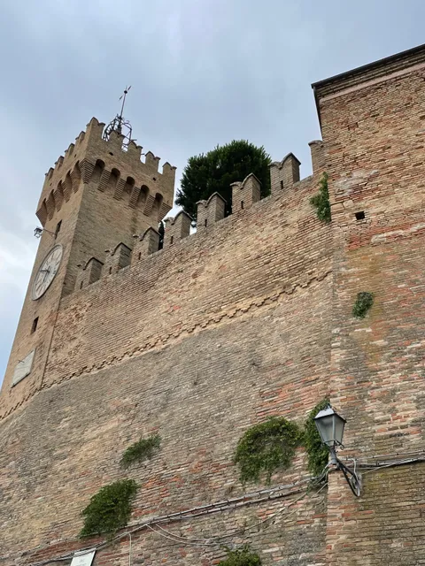 Museo Luigi Paolucci