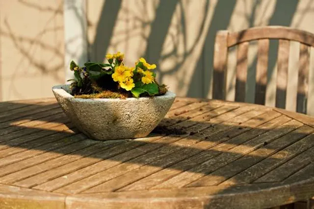 Fernwood Botanical Garden