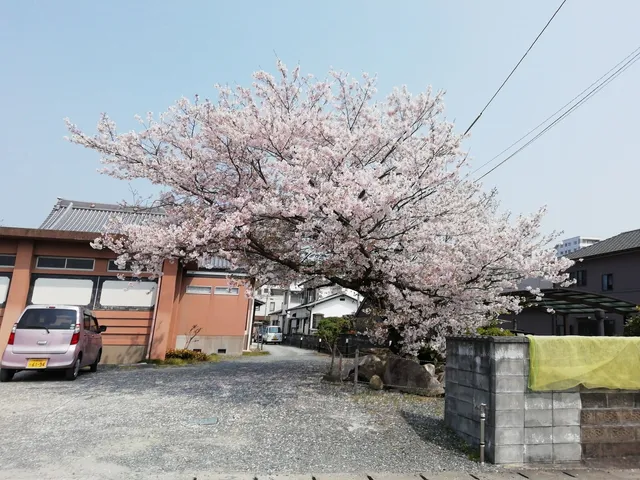 本照寺［浄土真宗東本願寺派］