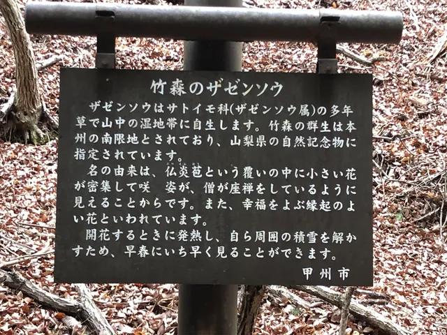 Tamamiya Zazenso Park