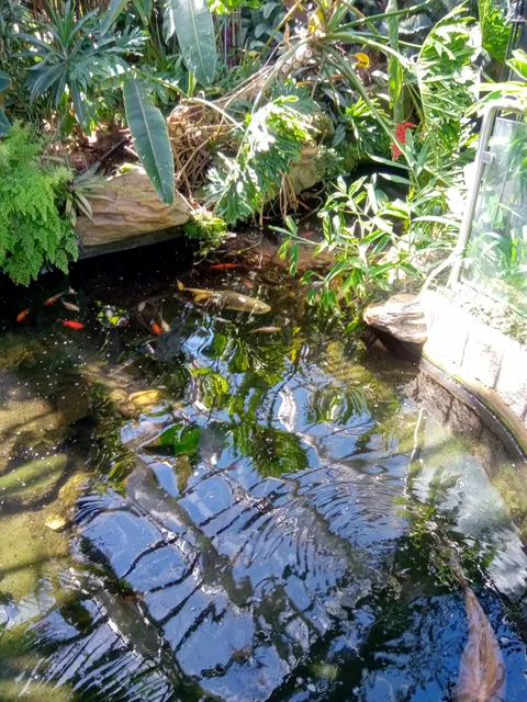 photo-1