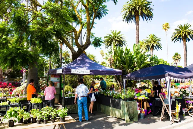 Napier Urban Farmer's Market