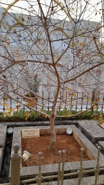 photo-1