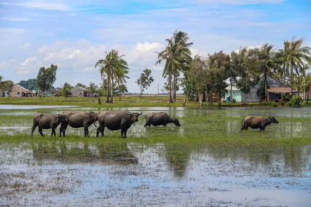 Aspen Vision City Central Park